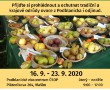Výstava starých odrůd ovoce začne 16.9.